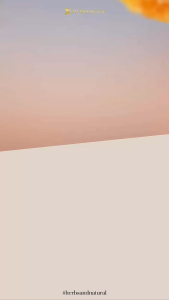 MADU MANDJA HERBAMOUR PREMIUM DRIED LEMON MENJAGA SISTEM KEKEBALAN TUBUH