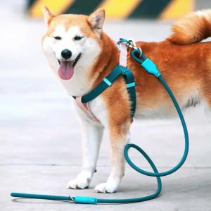 UNMIXED Pet Harness Leash Set Safety Buckle Adjustable Strap Zinc D-Ring Swivel Lock Attachment Ring PVC