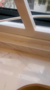 AntOut ECO-Liquid Bait / 30ml / Pest control / Ant Killer / Peracun Semut + Purifie Smellzoff Odour Absorber