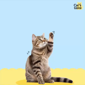 Cats Taste อาหารเปียกแมว สูตรแมวสูงอายุ 7 ปีขึ้นไป ไม่เติมโซเดียม  ขนาด 70 กรัม ยกลัง 48 ซอง