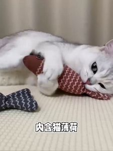 Catnip Stuffed Fish Toy Cat Kicker Toys Mainan Catnip Ikan Kucing Cat Mint 猫薄荷鱼玩具 ( BNT 017 )