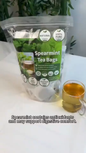 Organic Spearmint Tea Bags 100pcs Buy 50 Get 50 Sulit Detox Sugar Free Herbal Tea PH
