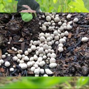 Pupuk Guano 500gr - Pupuk Organik untuk Pembungaan dan Pembuahan