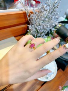 Nhẫn tì hưu thiên lộc ngọc ruby tự nhiên bọc vàng tây nhẫn đá phong thuỷ hợp tất cả các mệnh trang sức thiết kế đủ hoá đơn thẻ bảo hành