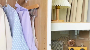 Pull Out Valet Rods for Closet / Tie Hanger Belt Rack for Closet / Space Saving Closet Organizers and Storage