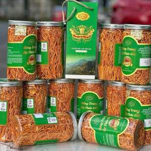 Đông Trùng Hạ Thảo Sấy Sợi Thăng Hoa