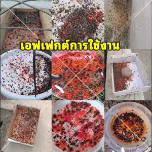 แมลงวัน 1000เมตรแมลงวันทั้งหมดตายแล้ว กำจัดแมลงวัน ดักแมลงวัน ที่ดักแมลงวัน ที่ไล่แมลงวัน ยาไล่แมลงวัน เครื่องดักแมลงวัน เครื่องไล่แมลงวัน ไล่แมลงวัน อาหารที่บินชอบกิน การยั่วยวนอย่างรวดเร็ว มันจะไม่เหม็น ความปลอดภัยที่ดี บรรจุภัณฑ์ขนาดเล็ก ใช้งานง่าย