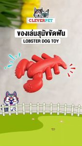 CleverPet กระดูกขัดฟันสุนัข ไนลอนผสมใยไม้ กุ้งล็อบสเตอร์ ของเล่นหมา Lobster Wood Bone