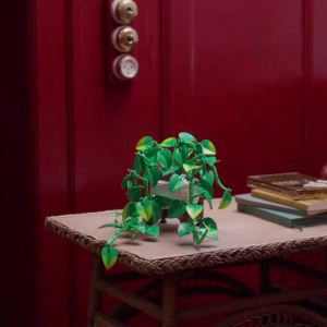 LEGO Botanicals 11512 Hanging Golden Pothos (372 Pieces)