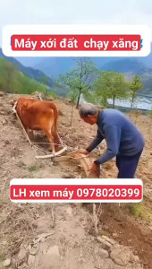 Máy xới đất - làm đất mini gia đình