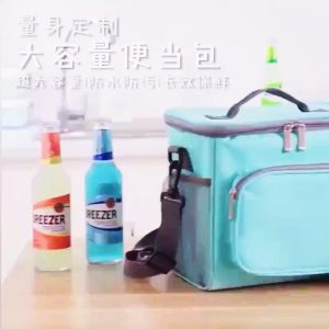 Big Square Lunch Picnic Waterproof Bag Storage Box With Handle Sling TH