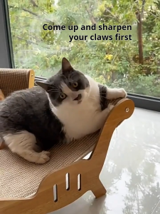 3 in1 Solid Wood Sisal Cat Lounge Chair Cat Scratch Board Cat bed integrated Wear Resistant Cat Sofa