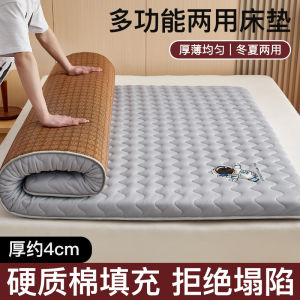Double-Sided Mattress Soft Pad Home Use Summer Winter Bed Mat Tatami Grass Mat for Single Dormitory Rent Cool Mat Pad