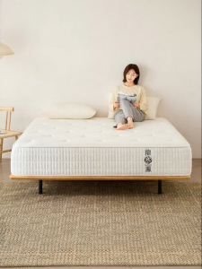 Natural Latex Spring Hard Coconut Fiber Mattress