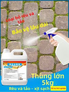 Thuốc Loại Bỏ Rêu và Tảo cho Sàn Xi Măng