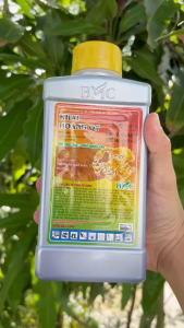Thuốc Trừ Cỏ NEWFOSINATE 150SL - KHAI HOANG Q7 – Rất Đậm Đặc Chất Lượng Cao (Chai 900ml)