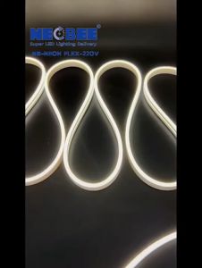 ไฟ Led นีออน Neon flex 220V ไฟเส้น ม้วน100m แถมฟรี ปลั๊กหัวจ่าย ตัดได้ทุก1m ไฟตกแต่ง สีสวย IP67กันน้ำ