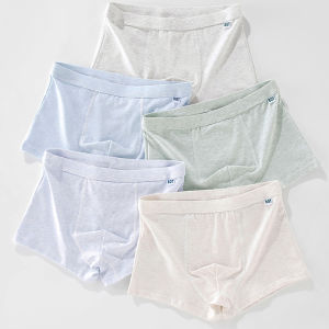 Teen Panties Male Student Development Period Pure Cotton 16-Year-Old Boy Childrens 14-Year-Old Junior High School Life Boxer Shorts