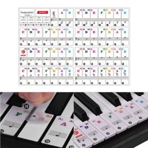 Piano Keyboard Stickers for 88/61/54/49/37 Key Colorful Letter Thinner Material Transparent Removable for Practice