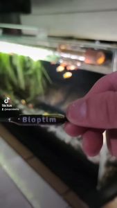 Prodibio Bioptim / BioDigest / Reef Booster: Bakteri Starter & Nutrisi Microbiologi Sistem Filtrasi Aquarium