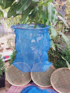 สวิงแหย่ไข่มดแดง สวิงผ้าตาข่ายฟ้า แหย่ง่ายใช้ดี