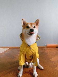 Yellow Waterproof Windproof Pet Raincoat Nicks Wealth Internet Dog Clothes Style British Style Pet Apparel Accessories