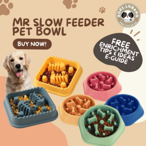 ✅[SG] [FAST SHIPPING] MR SLOW FEEDER PET BOWL ★ FREE Enrichment Tips & Ideas e-Guide  Worth $7 ★ For Dog Cat
