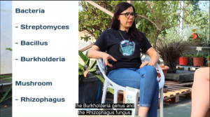 Terra Aquatica Organic Soil Enhancer with StreptoLogic Microorganisms for Enhanced Plant Growth