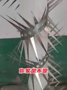 Pest Control Rat Repellent / Cat Repellent (Stainless Steel) Anti Rat Spike - Penghalau Tikus Pancang
