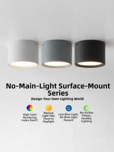 DGY | Modern Simple LED Light for Corridor Entryway Balcony Living Room Bedroom