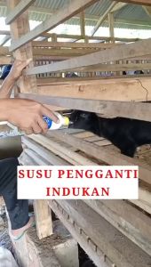 KALVOLAC + Botol Dot Kambing Kalvolac Original Nutrified 1 Kilogram