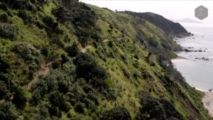 TIAKI Manuka Honey New Zealand UMF 5+ (250g)