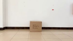 Trolley Cart 40kg Galon Portable 23x32cm Luggage Barang Dus Lipat FPT