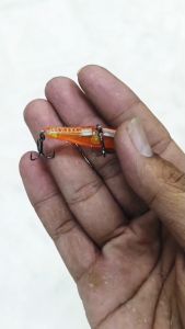 WEEBASS เหยื่อปลั๊ก - รุ่น NYMUS38 SINKING 38 mm/2.5 g เหยื่อปลอม