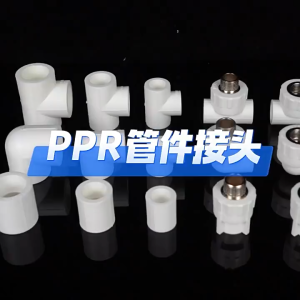 PPR FITTINGS PLAIN 1/2" 3/4" 1" (COUPLING TEE ELBOW 45° ELBOW 90° END CAP PIPE PLUGreducer clampcross )