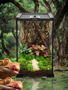 Tailwise | Tree-dwelling Pet Terrarium Glass Habitat