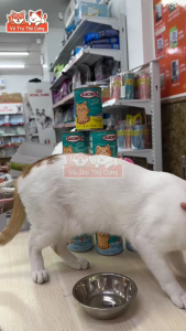 Combo 6 Lon Pate Kucinta Cho Mèo 400g