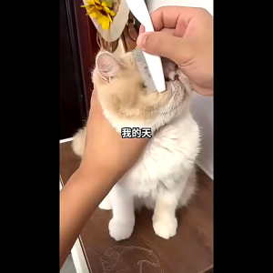 Sisir Serit Kutu Untuk Kucing Anjing Gagang Panjang