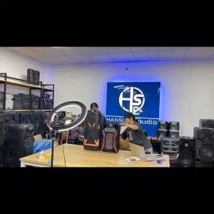 HANSUO HS-TS12H8 Plastic Rechargeable subwoofer 12 inch audio speaker