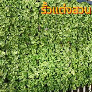 MT【ส่งจากไทย】รั้วต้นไม้ปลอมรั้วสวน ร้านค้าสวนความเป็นส่วนตัวริมรั้วใบไม้ปลอม 1X3 /0.5X3 เมตร ของตกแต่งร้าน กำแพงสวน รั้วไม้แต่งสวน รั้วสำเร็จรูป ถอดได้