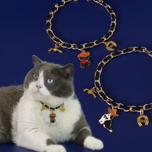 Pet metal wear leather western denim style necklace cat puppy hanging horseshoe pendant European and American style foreign trade collar