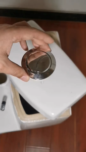 Tombol Tekan Kloset / Duduk Kloset Dual Flush / Toilet Tombol Flush