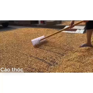 Các loại cào xẻng nhựa siêu bền