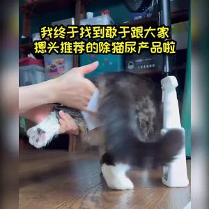 强效【环保配方】那逸乐宠物除臭剂猫砂猫尿除味剂生物酶分解喷雾狗狗杀菌去除尿味