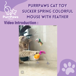 PurrPaws Cat Toy Sucker Spring Colorful Mouse with Feather Mainan Kucing
