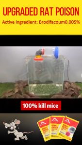 💥No Mice For 100 Years💥Powerful Rat Poison 20PCS Ratkil Lason Sa Daga Professional Rat Killer All-Natural Poison Free Humane For Rats And Mice Indoor Outdoor Pest control