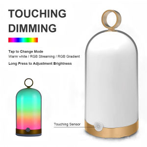 Bedroom bedside lamp home decoration multi-color LED birdcage night light touch sensor with hook pendant light