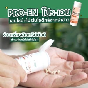 sangdad PRO-EN probiotic + enzyme แสงแดด โปร-เอน โปรไบโอติกส์  โปรไบโอติก โพรไบโอติก เอนไซม์ สำหรับเคี้ยว ปริมาณ 35 กรัม