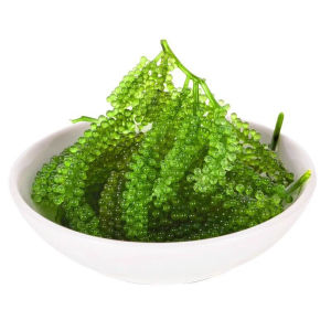 YIFANGYOUTA | Fresh Ready-to-Eat Healthy Childrens Sea Grapes Snack