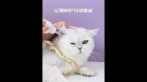 Furiri 120ml Ear Cleaning Water Hose For Dog Cat Earwax Removal Decontamination & Deodorization Pet Ear Drop Cleaning